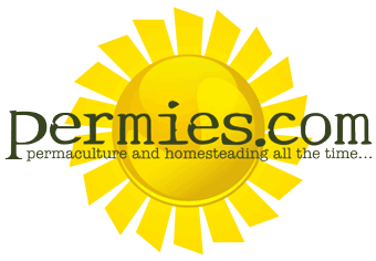 [Logo]