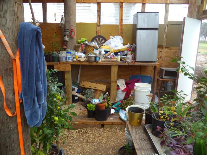 greenhouse is kind of a dumping ground all summer