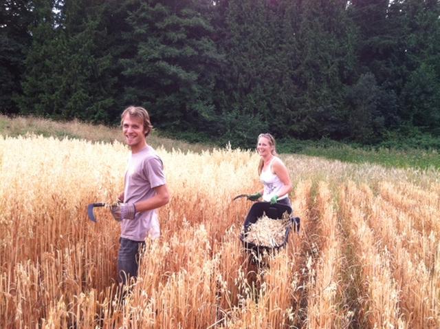 [Thumbnail for Eric_Britt_Oats.jpg]