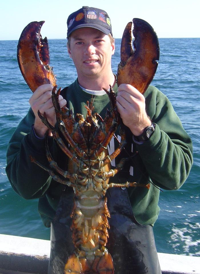 12 pound lobster