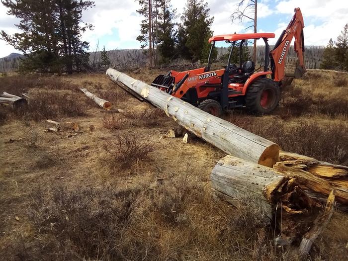 The sixth tree was heavy, so I decided to cut the top off prior to loading, because I didn't want to break the trailer deck.