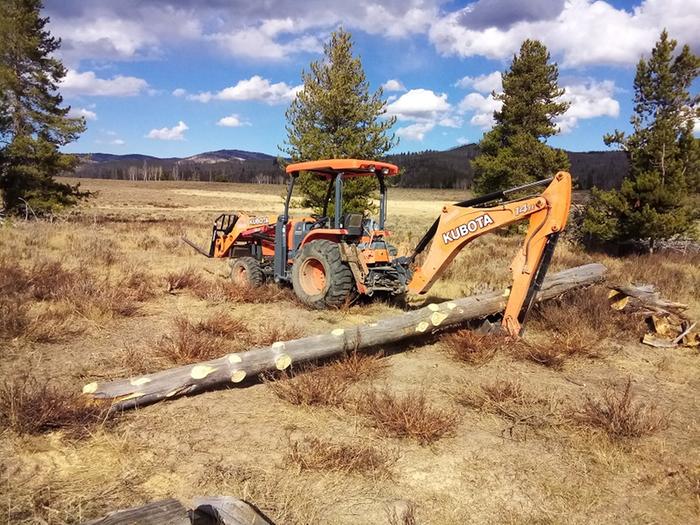 The seventh tree was in the thick of it, so I decided it'd be easier to drag it out with the hoe.