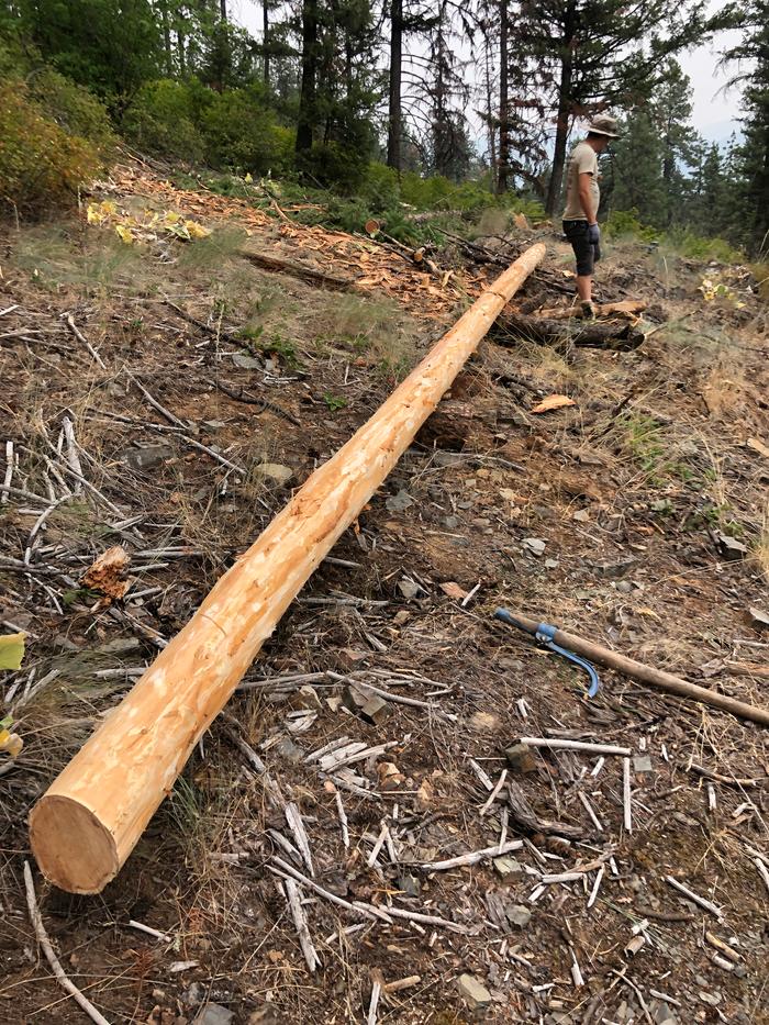 Raised onto two logs