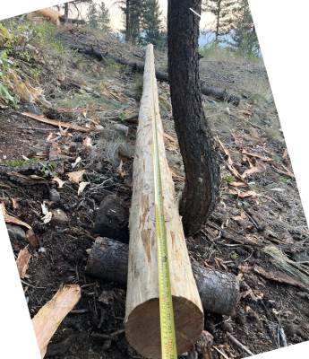 Log #2 is 18-ft long