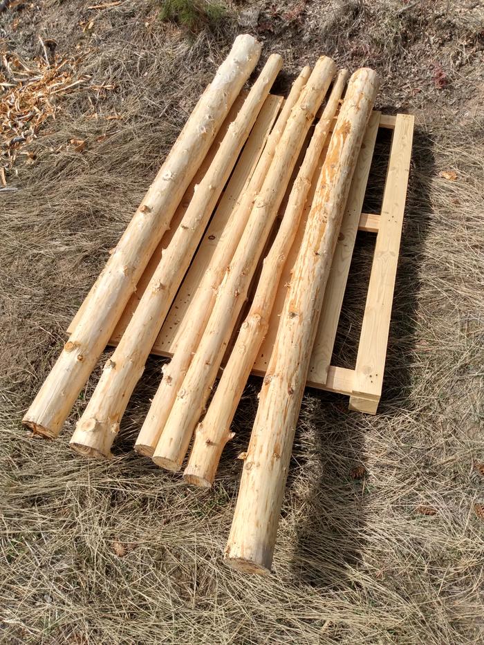 Both trees peeled and off the groun to dry, the tops were used as junk poles