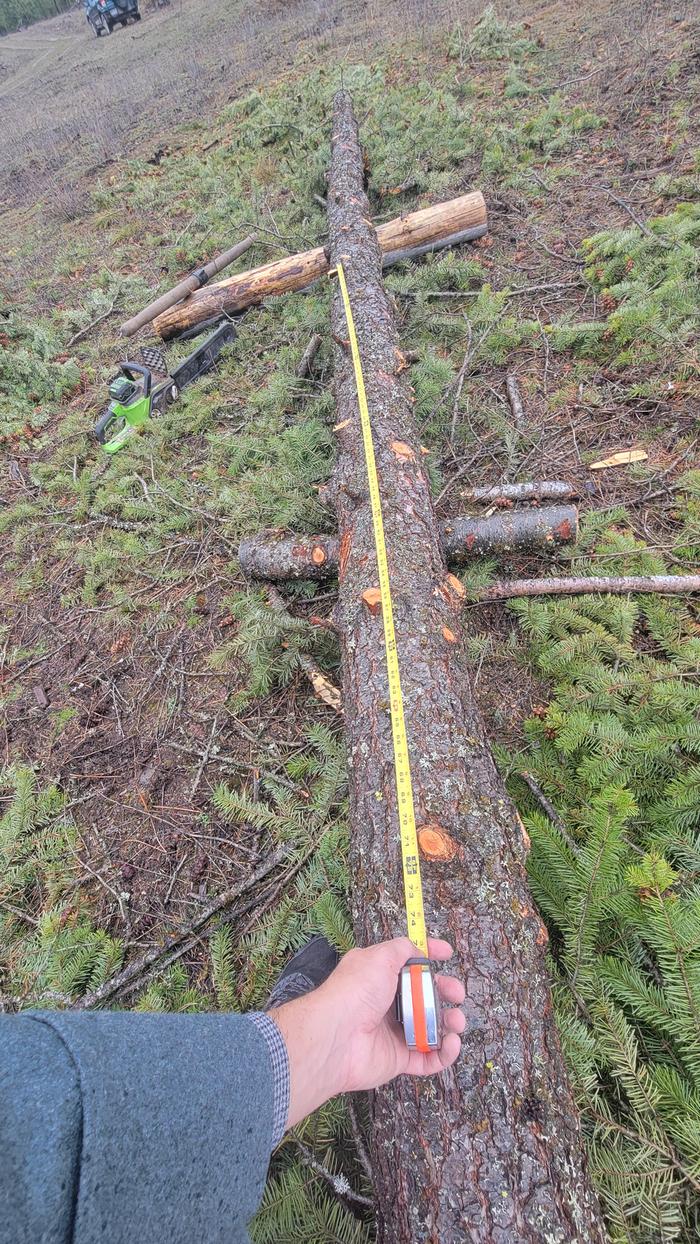 The other 6 feet, since I chose poorly with tape measures