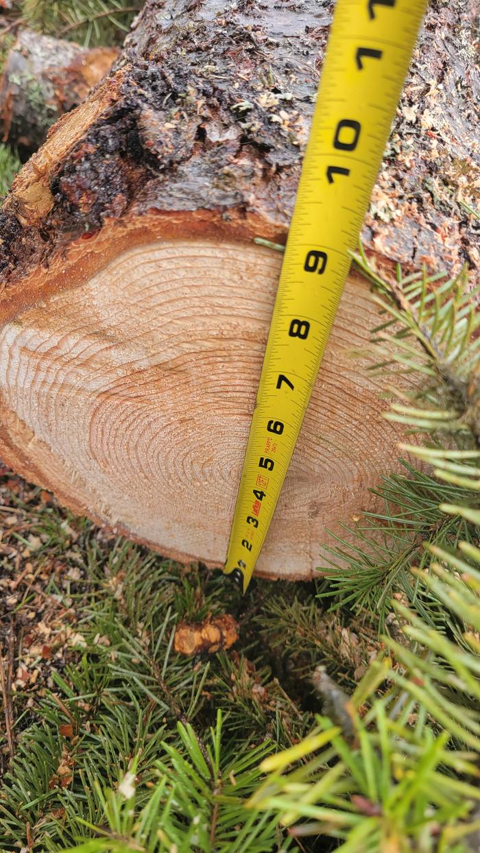 Way more than six inches