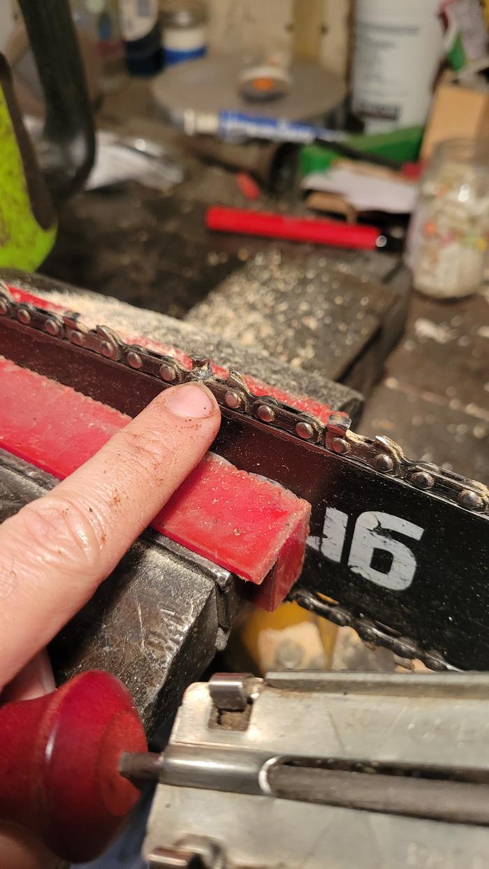 After tooth 1 (sorry it's out of order)