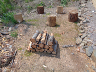 additional cut wood (from tree 3)