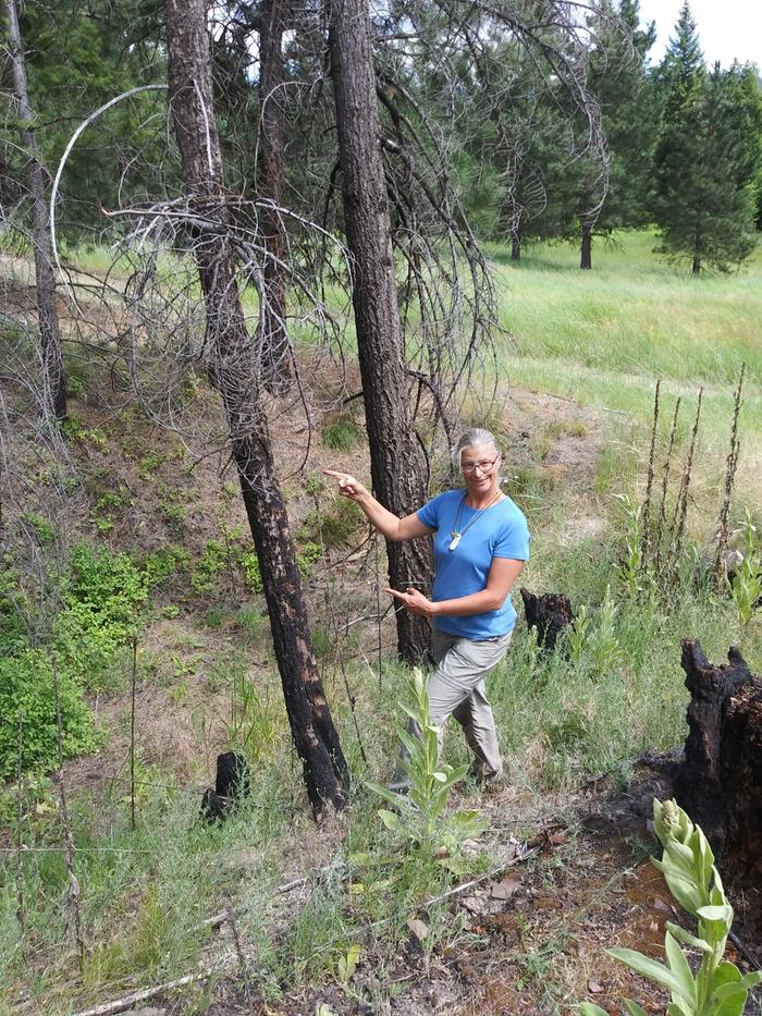 A PEPper standing next to two dead standing trees before she cuts them down