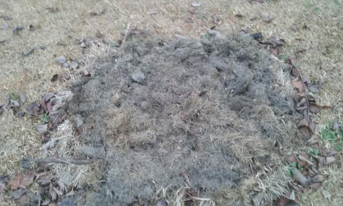 Soil and grass clippings covering mini hugel