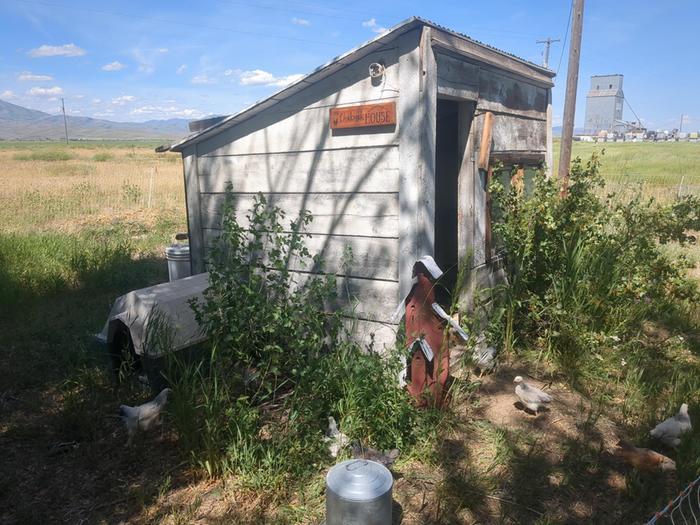 The Chiknik House