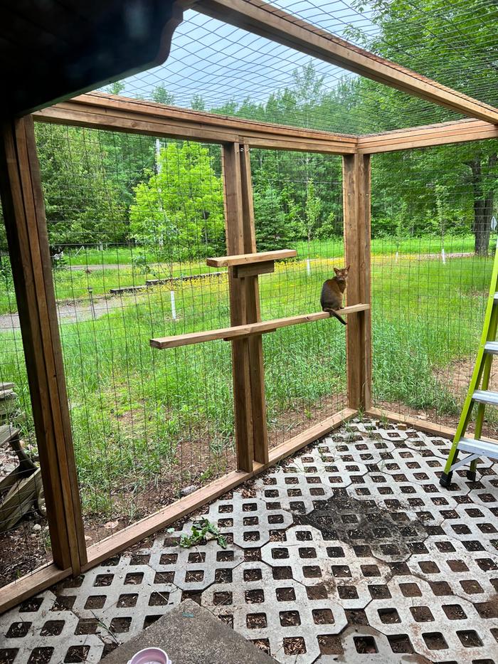 Nukazuke's Catio