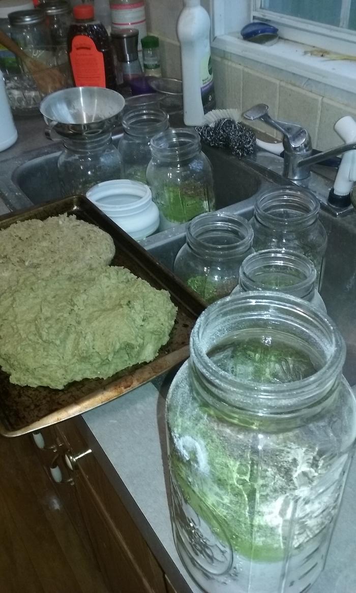 I have started making my own moringa bread.