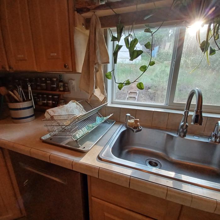 [Thumbnail for clean-sink.jpg]