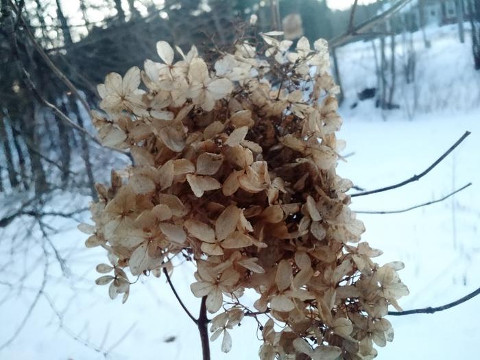 Pretty but still very winter