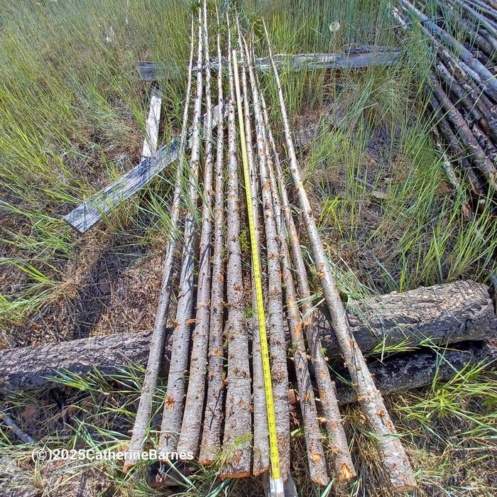 [Thumbnail for BB-10-junk-pole-fences-at-least-8-long-off-the-ground.jpg]