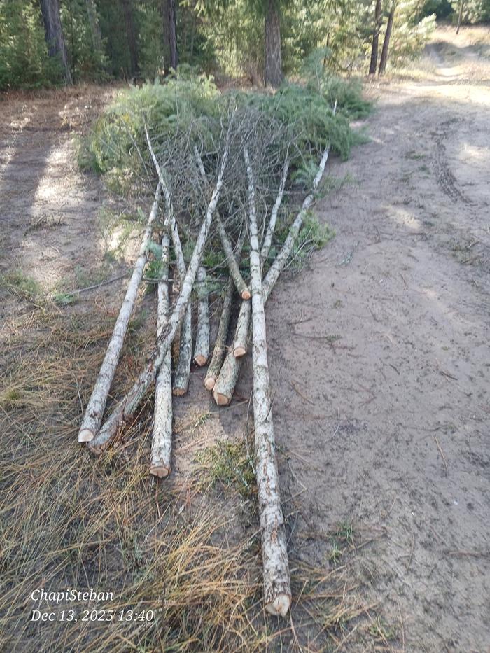 [Thumbnail for 20251213_134044.jpg]