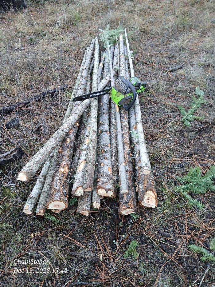 [Thumbnail for 20251213_154452.jpg]