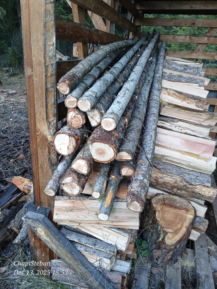 [Thumbnail for 20251213_155349.jpg]