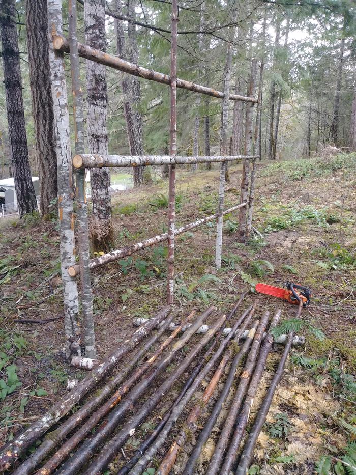 at least 10 junk poles set up off the ground