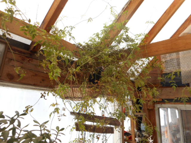 [Thumbnail for DSCN0162.JPG]