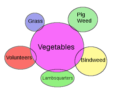 [Thumbnail for companion-planting.png]