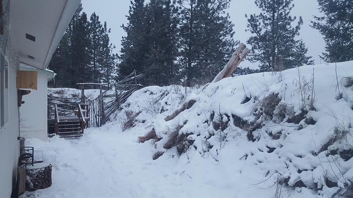 A decent amount of snow fell last night