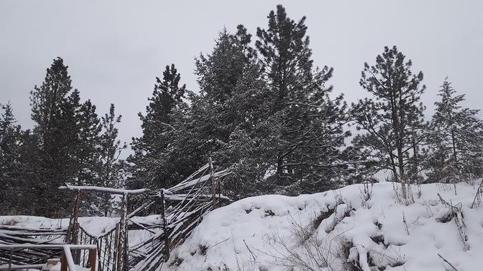 Winter in Montana