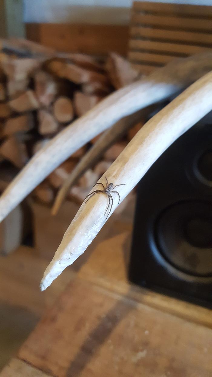 Band saw cuts