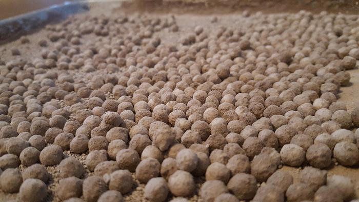 Fukuoaka style seed balls