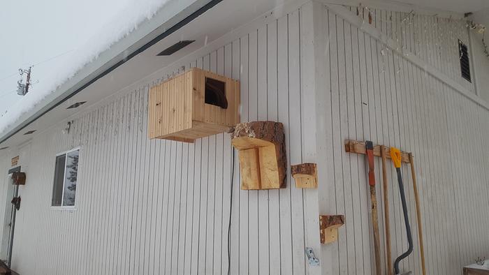 gato Gert's heated mini cabin