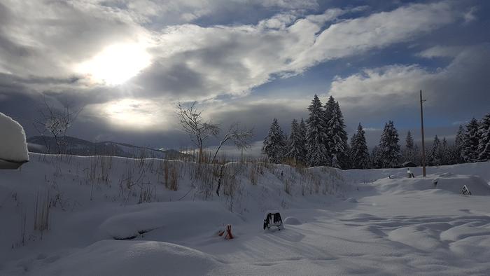 Ich liebe den winter. (I love the winter.)
