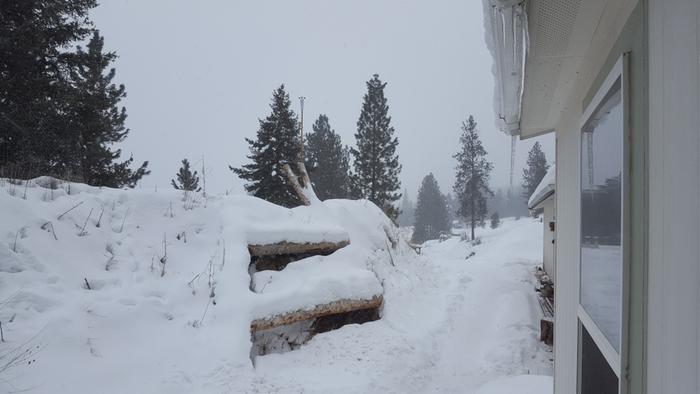 Cold snowy day today, low 17&deg;F / high 26&deg;F