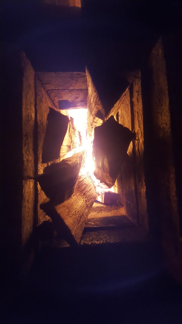 Taking a moment to thank the Trees and the wood they provide so that we can survive the winter another day.