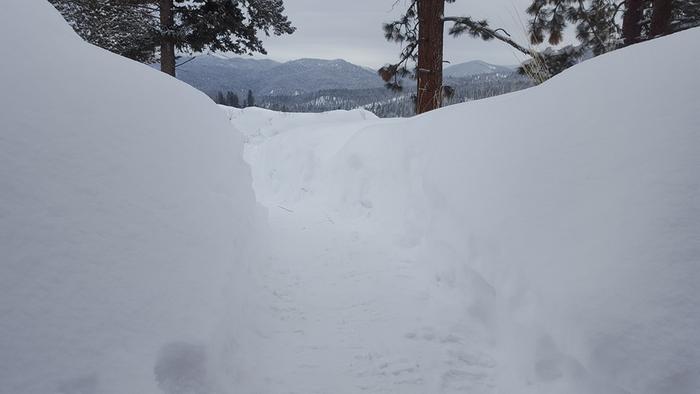 Large amount of snowfall, lots of shovelling today. Good workout.