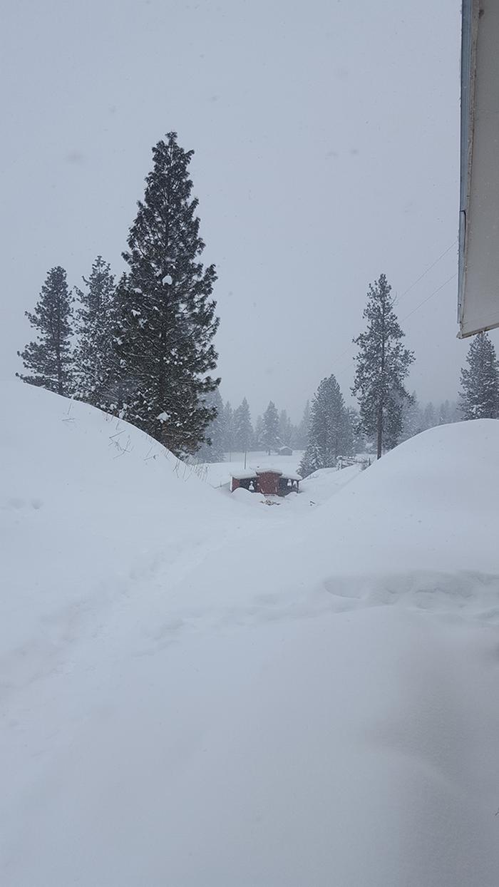 You can't get too much winter in the winter &mdash;Robert Frost