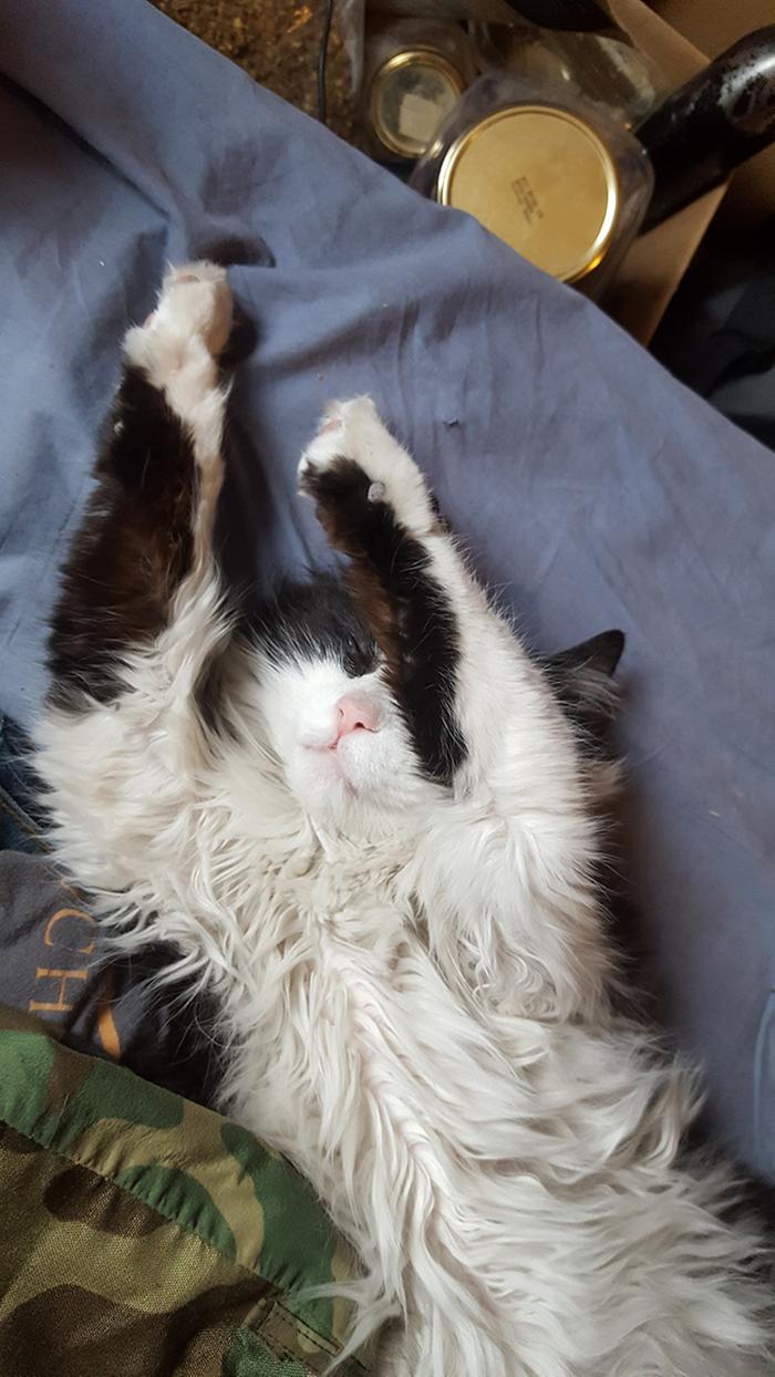 Zen master Cloud :P