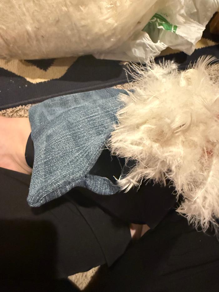 I filled the pillow with feathers I found at a yard sale. They’re definitely real feathers because I was sneezing like crazy and feathers make me sneeze 🤷‍♀️