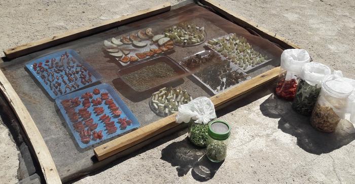Filename: drying-vegetables-on-roof-including-spiced-zucchini-chips-2020-08-24.jpg
Description: Vegetables drying on the roof in the high desert, including spiced zucchini chips Vegetables drying on the roof in the high desert, including spiced zucchini chips