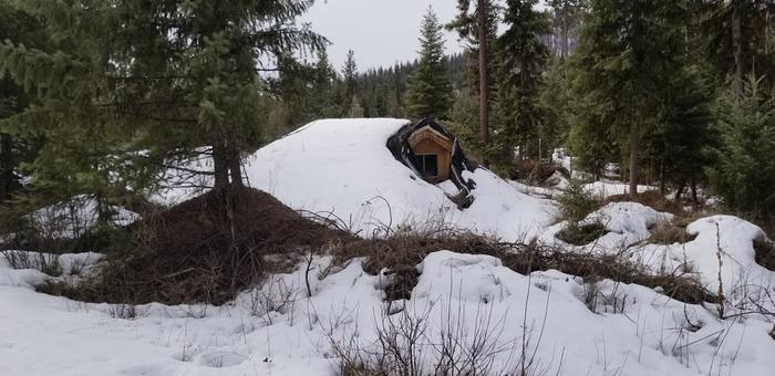 [Thumbnail for 20190327_100104.jpg]