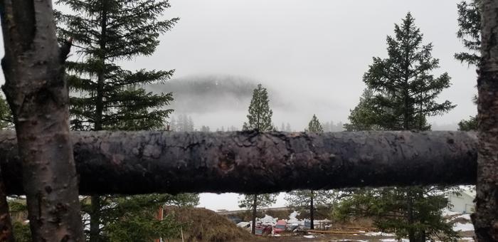 During the misty mornig