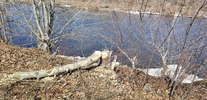 [Thumbnail for 20190330_142239.jpg]