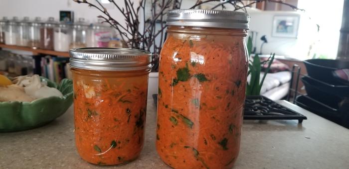 Carrot Ginger Ferment