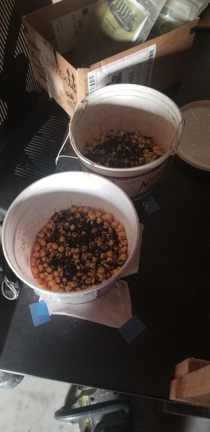 It was old so we used more than recomended