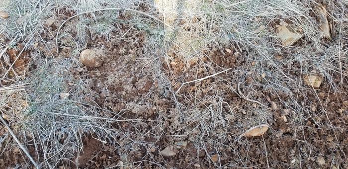 Cracked ground ready to close in from the warmth of the sun