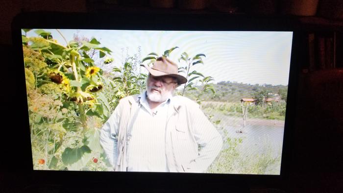 Watching Sepp's