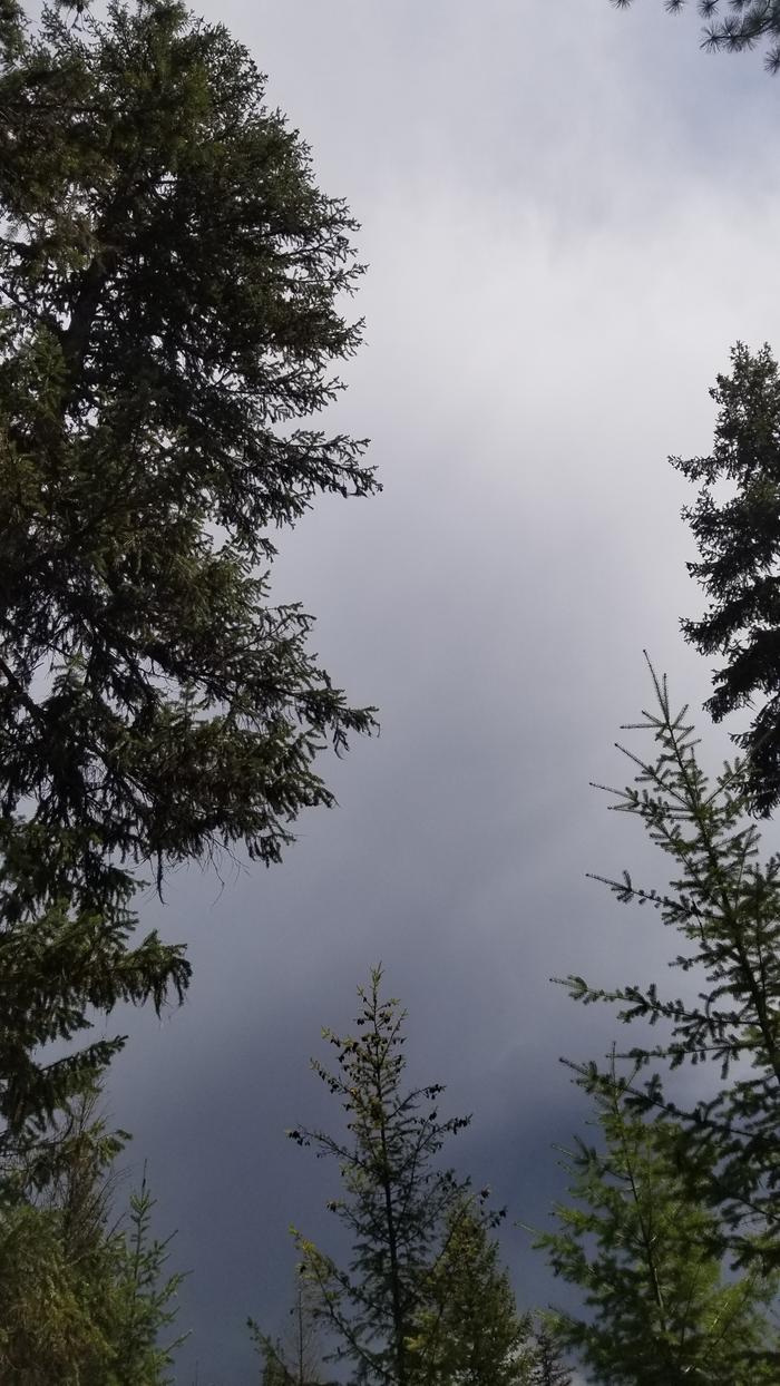 Thunder cell
