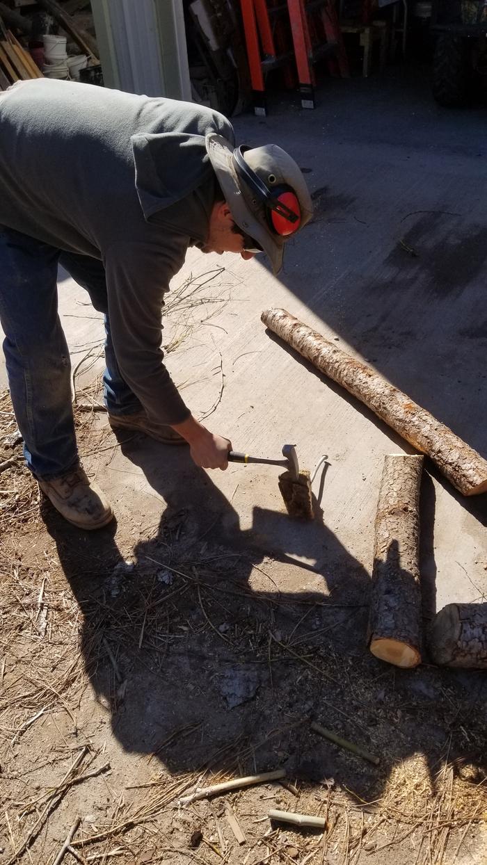 Fred demonstrating splitting wood with metal in it using a rock hammer
