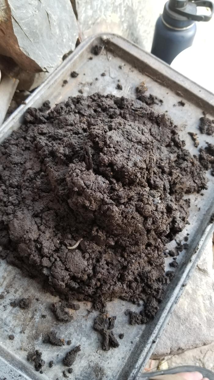 Pile of worm castings
